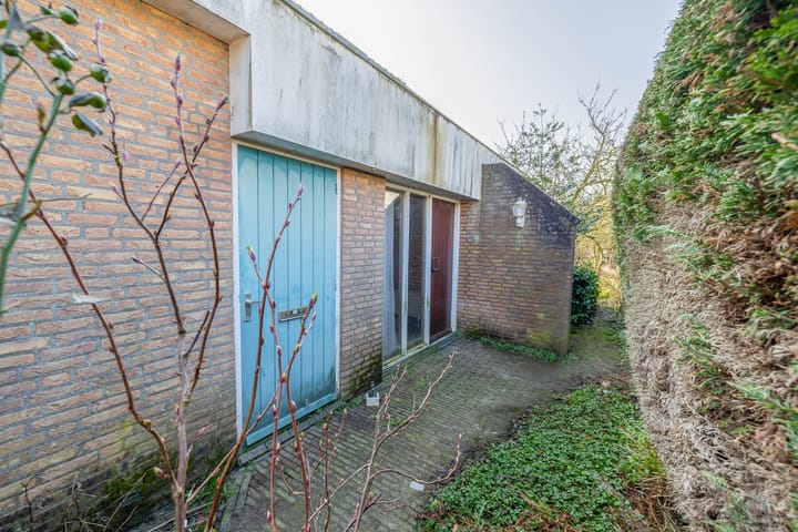 Foto 5 van Bromelia 14