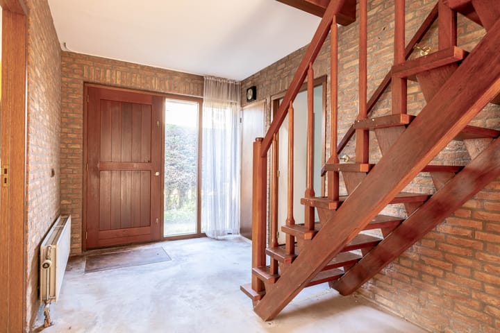 Foto 6 van Bromelia 14