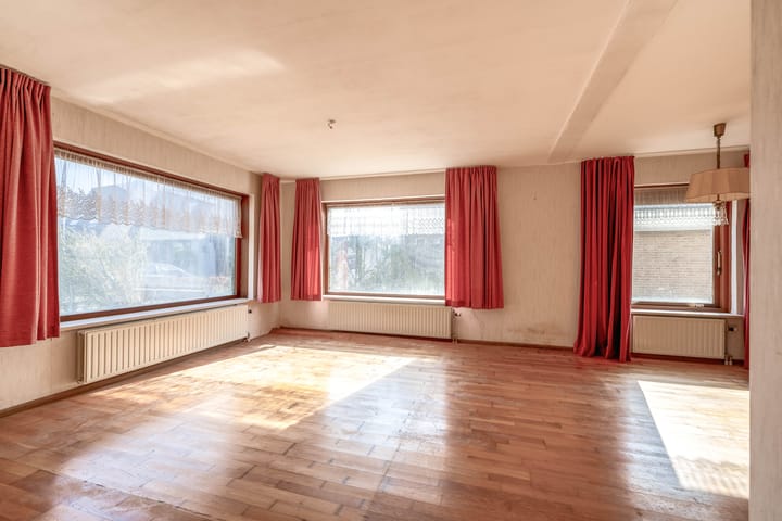 Foto 8 van Bromelia 14