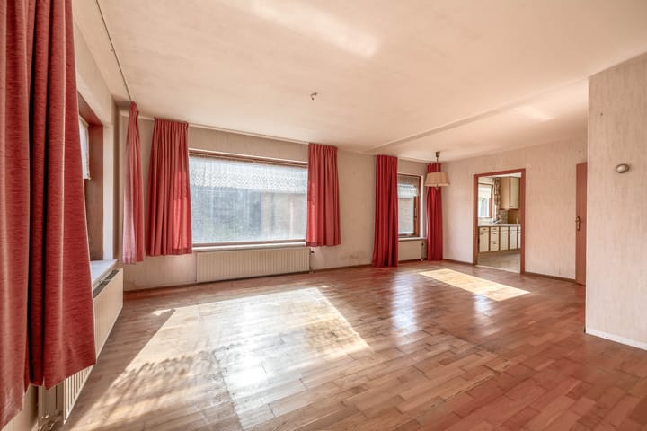 Foto 9 van Bromelia 14