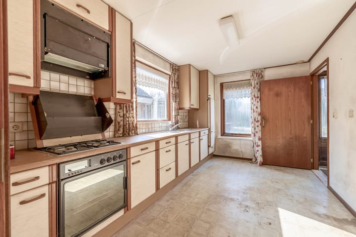 Foto 11 van Bromelia 14