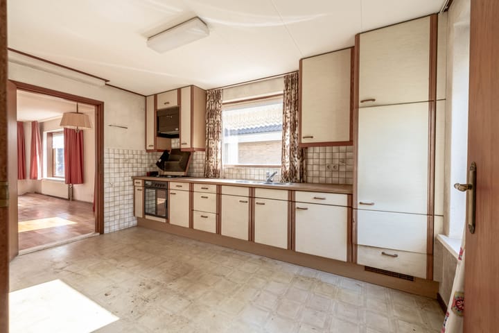 Foto 12 van Bromelia 14