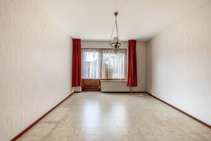 Foto 14 van Bromelia 14