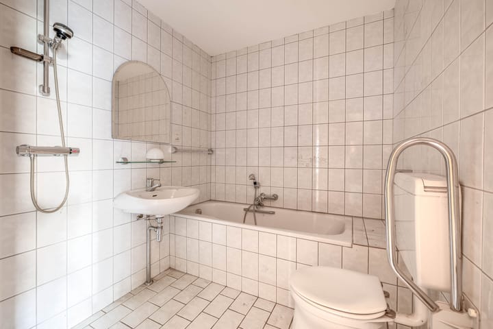 Foto 15 van Bromelia 14