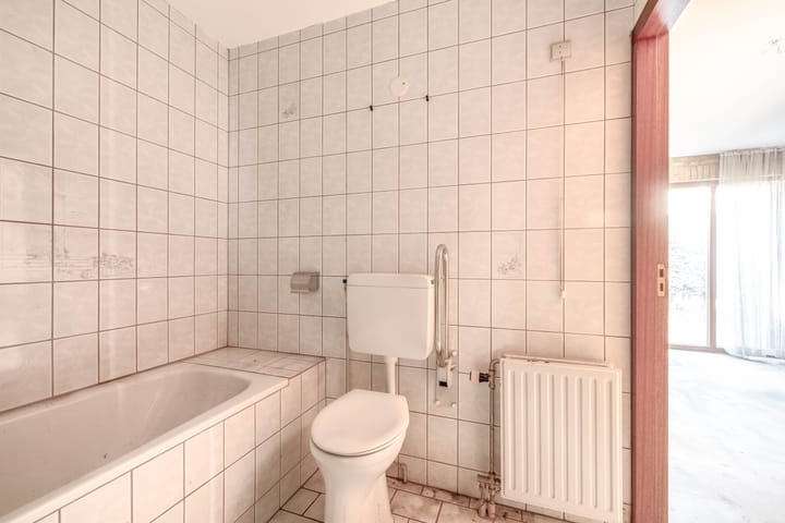 Foto 16 van Bromelia 14