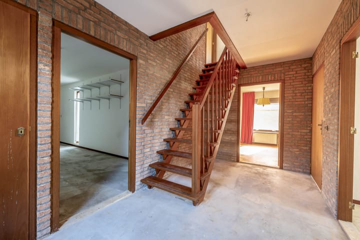 Foto 17 van Bromelia 14