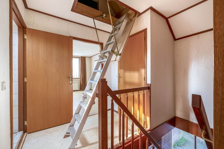 Foto 18 van Bromelia 14