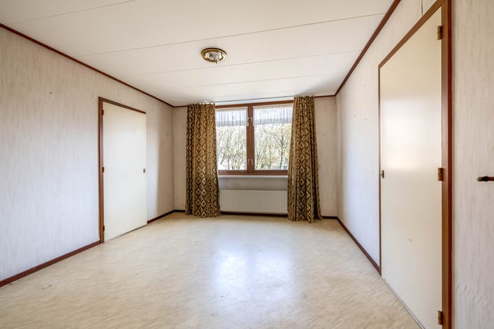 Foto 19 van Bromelia 14