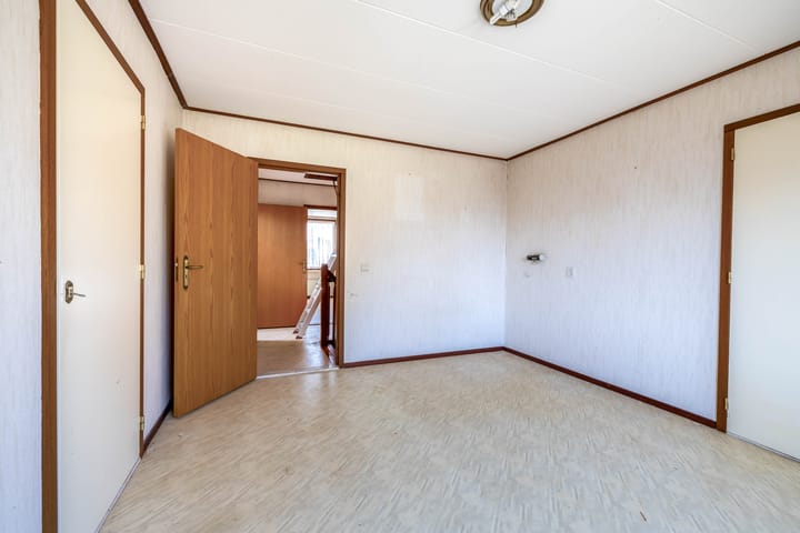 Foto 20 van Bromelia 14