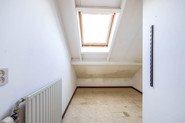 Foto 22 van Bromelia 14