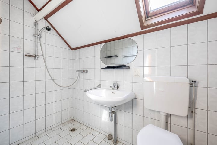 Foto 24 van Bromelia 14