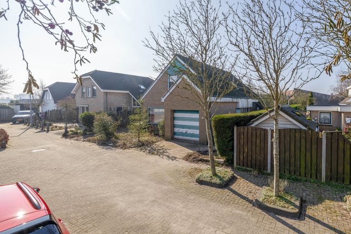 Foto 25 van Bromelia 14