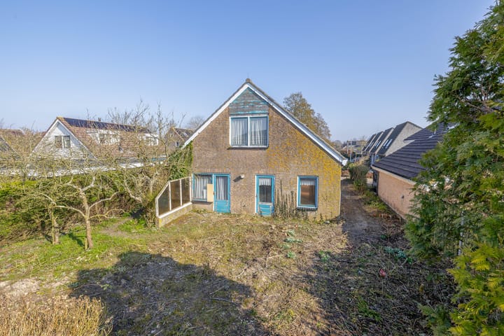 Foto 26 van Bromelia 14