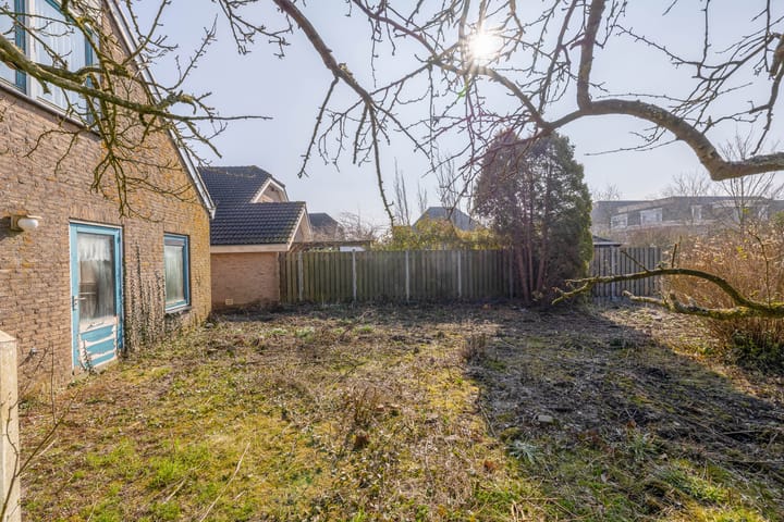 Foto 27 van Bromelia 14