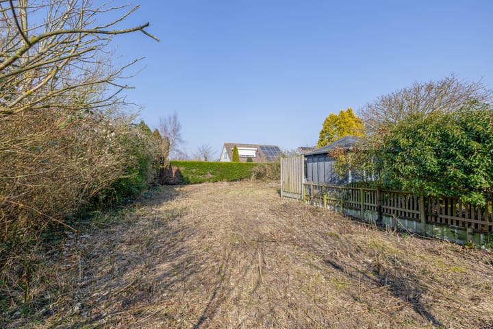 Foto 28 van Bromelia 14