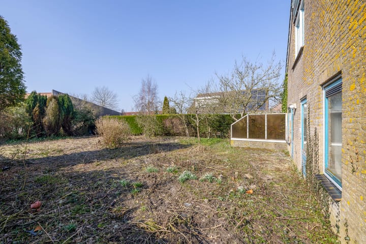 Foto 29 van Bromelia 14