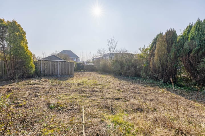 Foto 30 van Bromelia 14