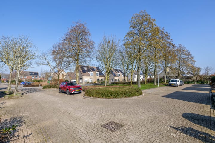 Foto 31 van Bromelia 14