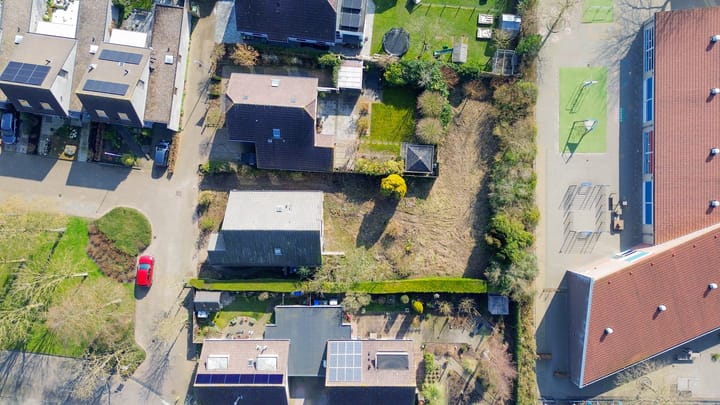 Foto 40 van Bromelia 14