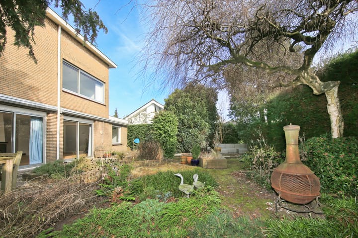 Foto 41 van Kraayveld 6