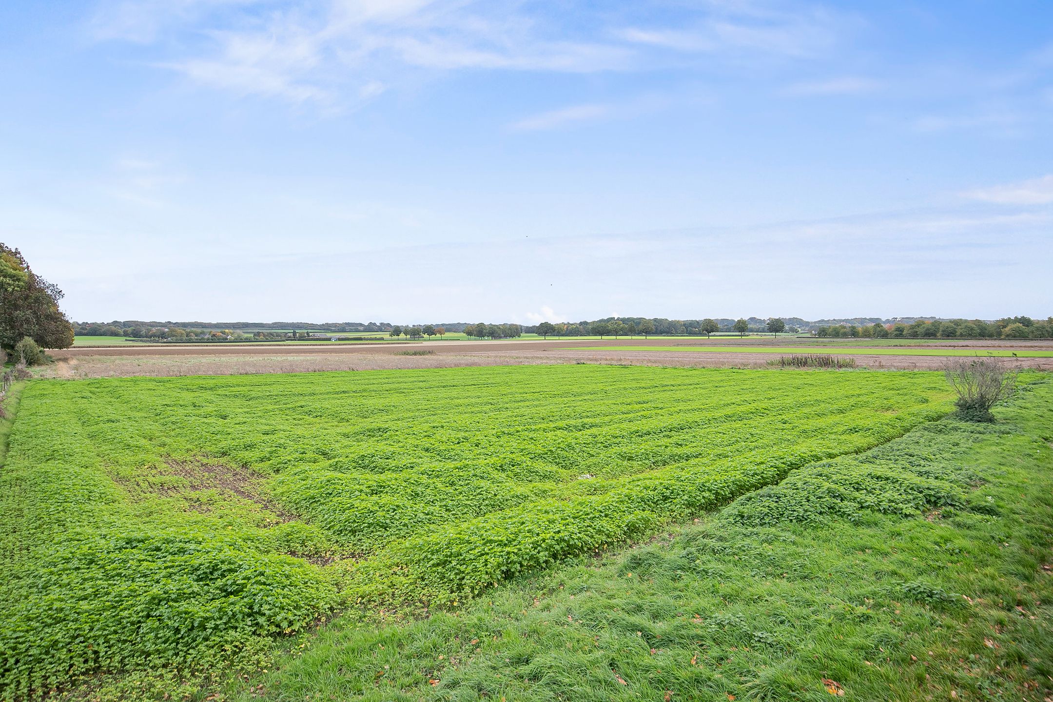 Foto 45 van Wagenlaan 31