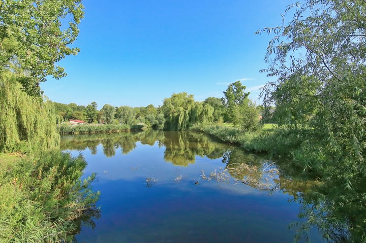 Foto 72 van Kraayveld 6