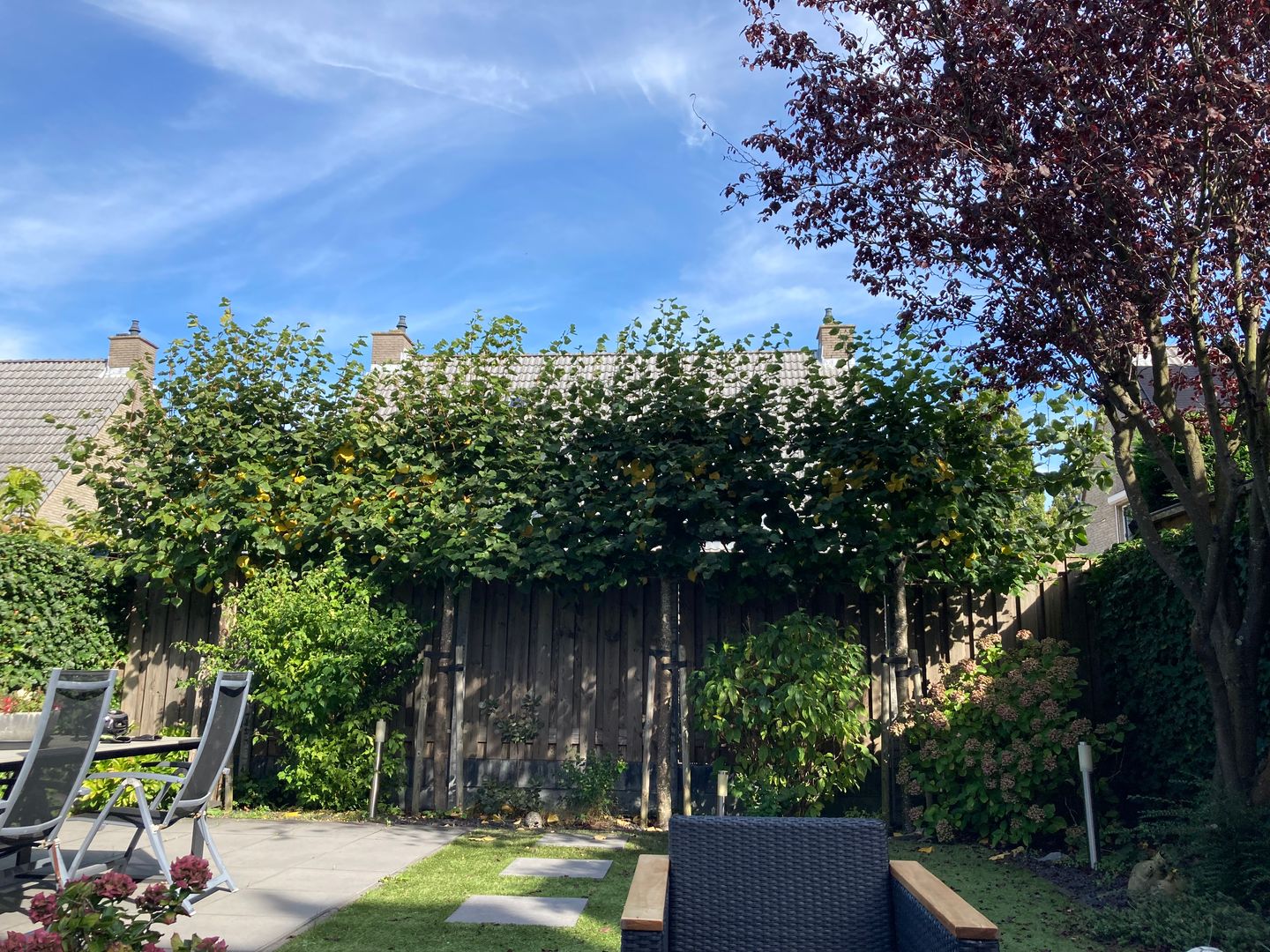 Foto 20 van Bellinkstraat 18