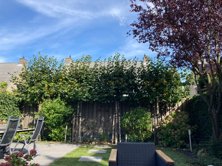 Foto 20 van Bellinkstraat 18