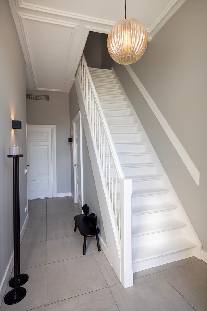 Foto 8 van Rhijnvis Feithlaan 7