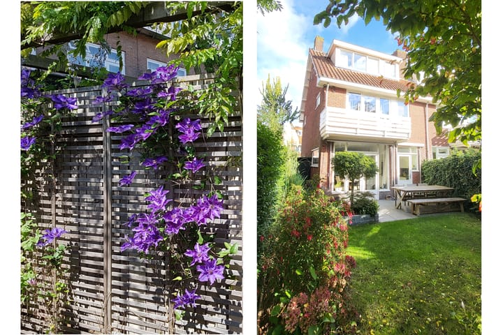 Foto 42 van Dantelaan 103