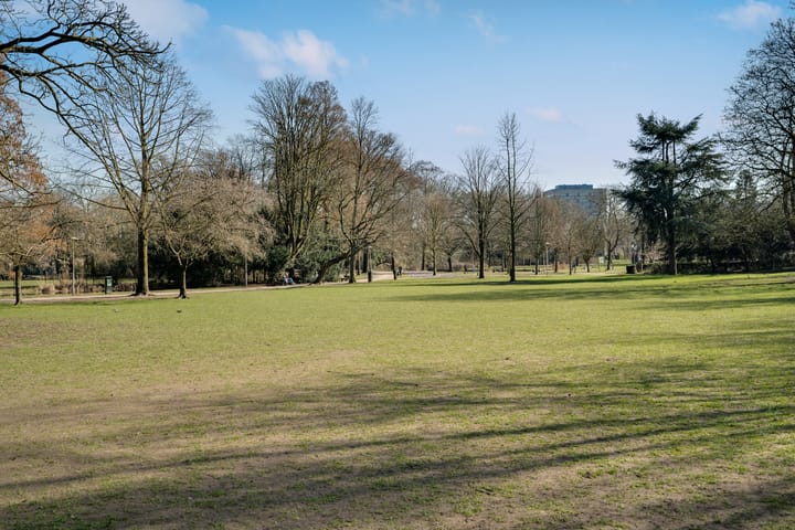 Foto 45 van Dantelaan 103