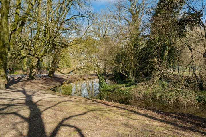 Foto 46 van Dantelaan 103