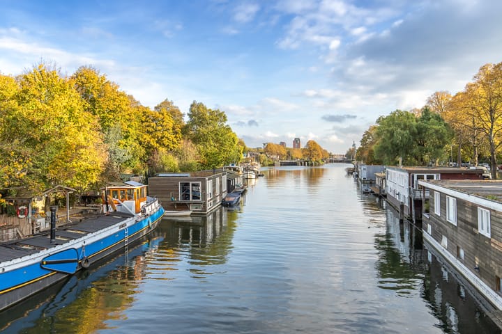 Foto 48 van Dantelaan 103