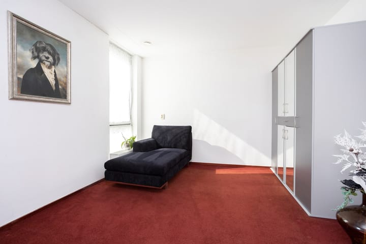 Foto 32 van Klapwijkse Zoom 209