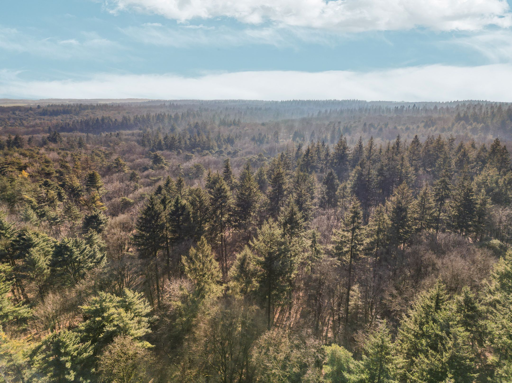 Foto 45 van Krekelstraat 25