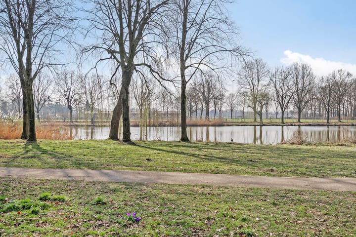 Foto 6 van Suurhoffstraat 11