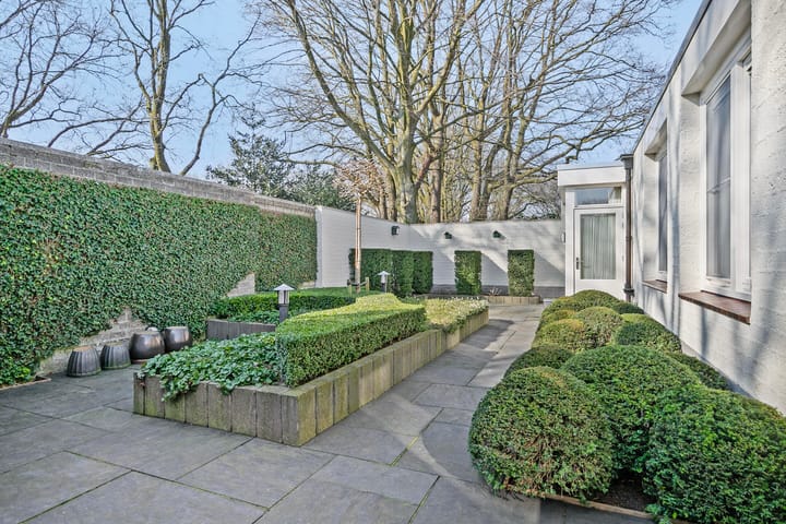 Foto 36 van Suurhoffstraat 11