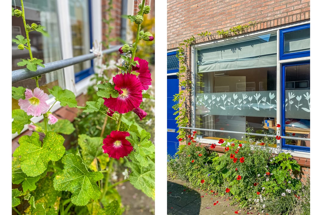 Foto 23 van Hoogstraat 78