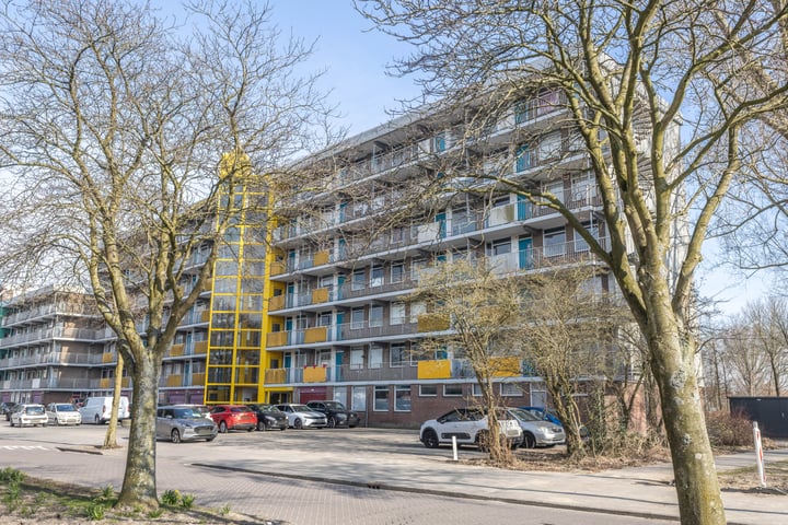 Kervelstraat 169