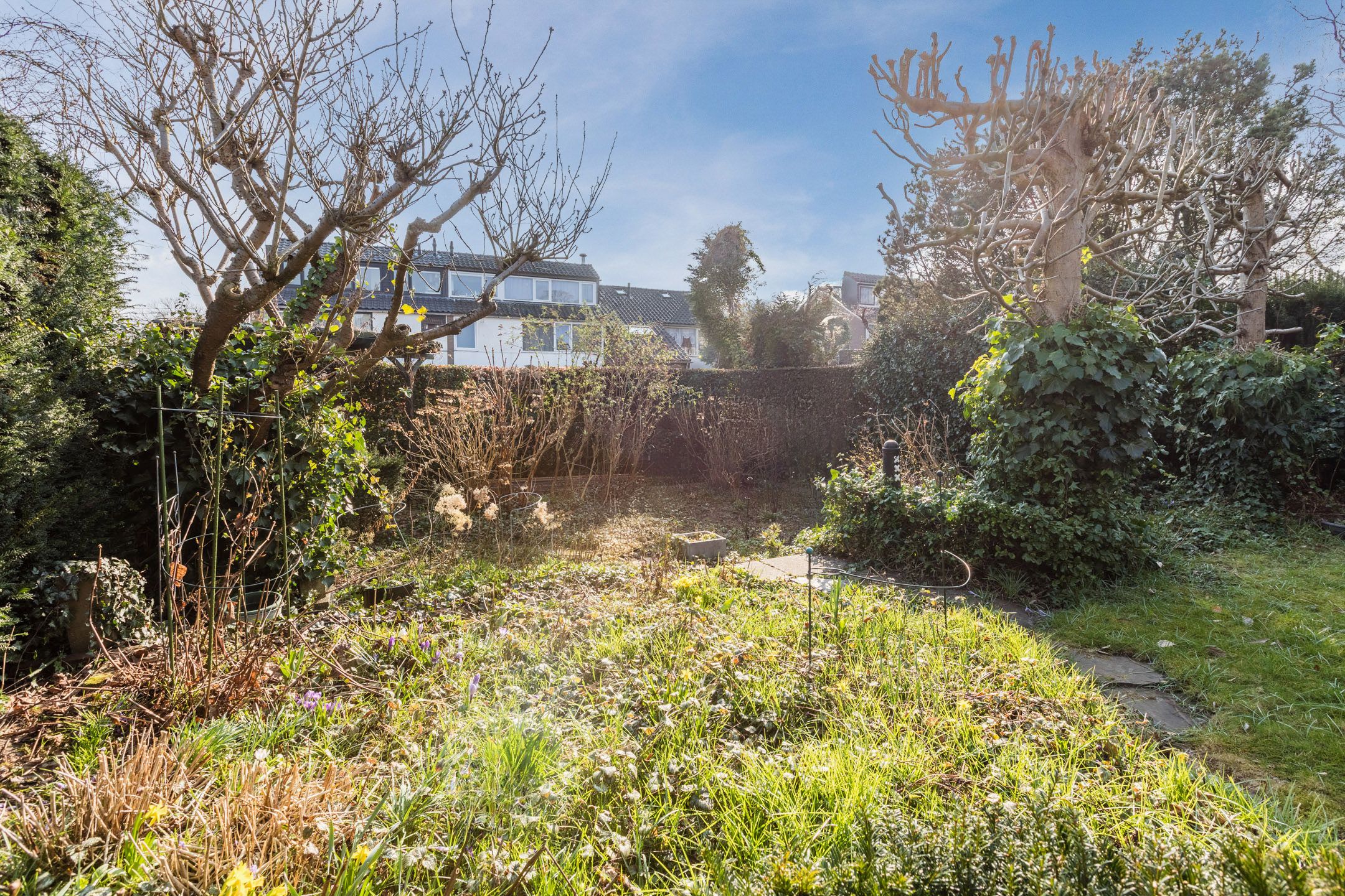 Foto 30 van Zaalboslaan 40