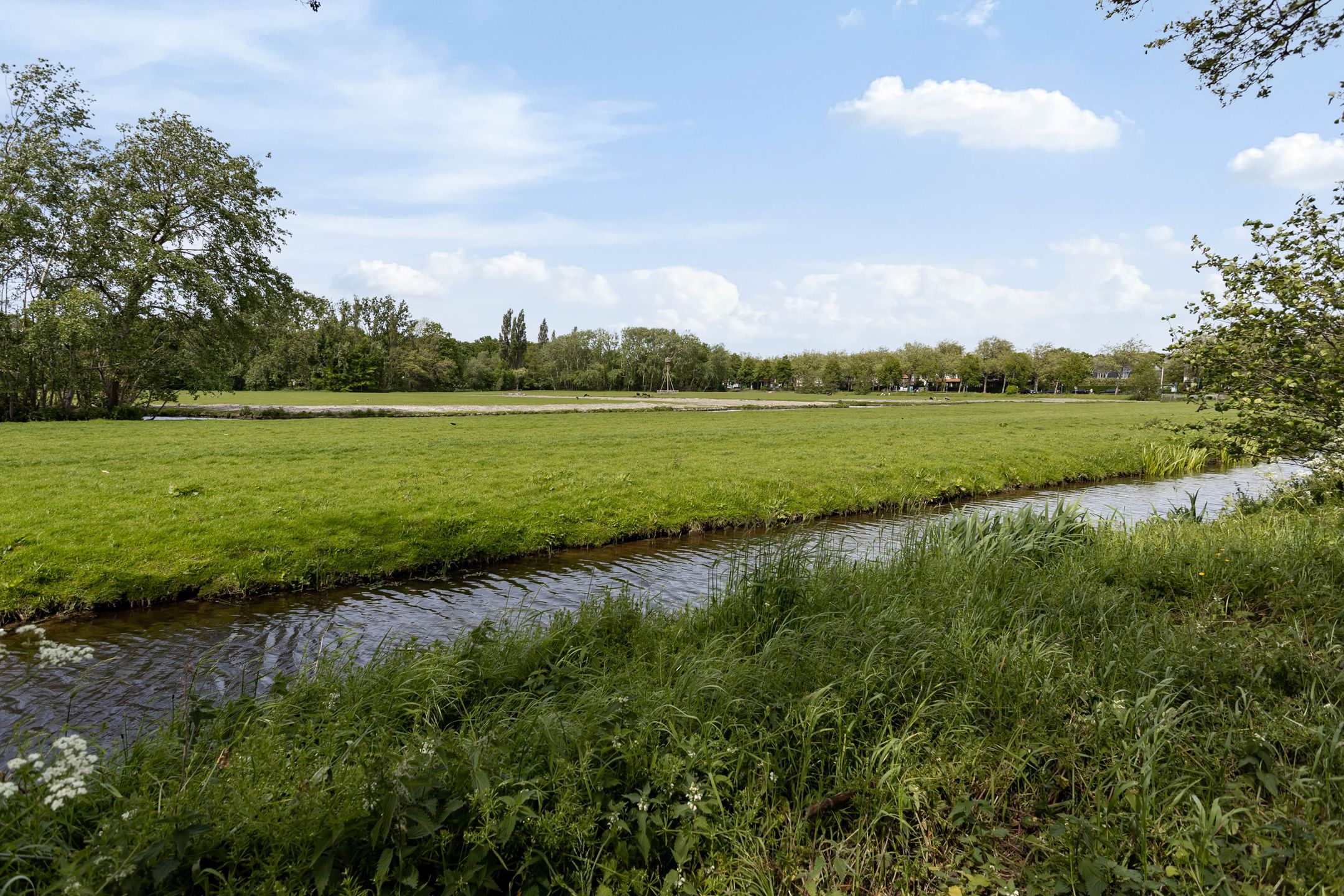 Foto 33 van Roodborststraat 31