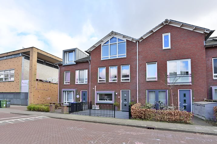 Vuurvlindermeent 50 main image