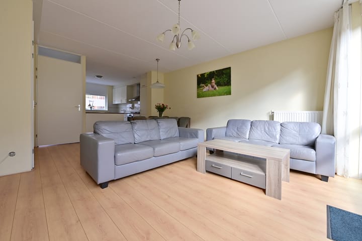 Foto 2 van Vuurvlindermeent 50