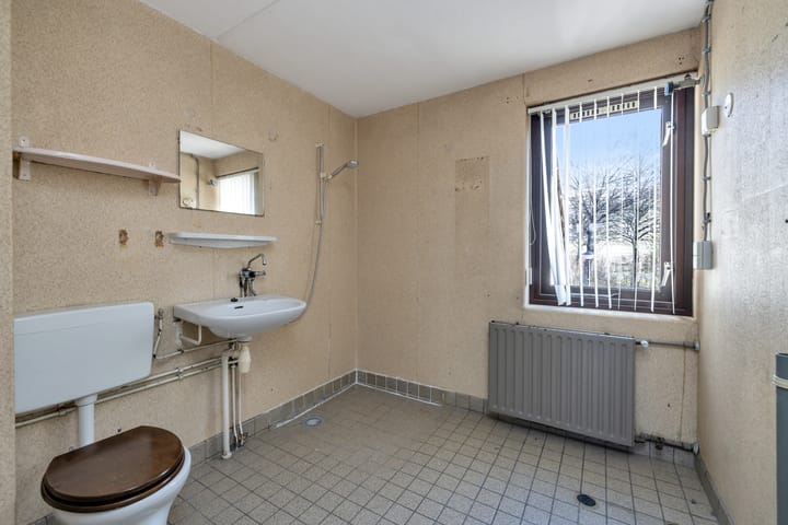 Foto 12 van Punter 19 73