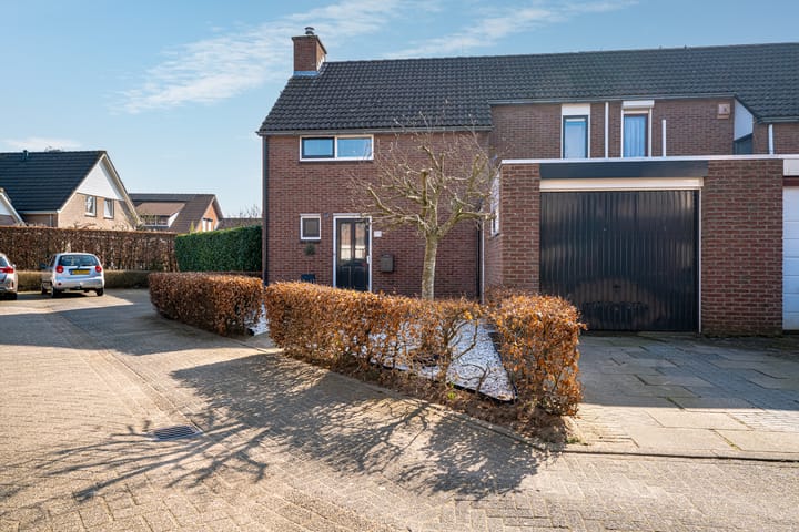 Foto 6 van de Plataan 82