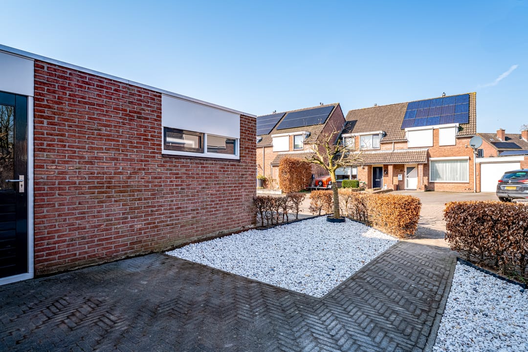 Foto 8 van de Plataan 82