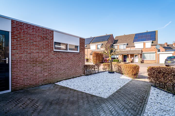 Foto 8 van de Plataan 82