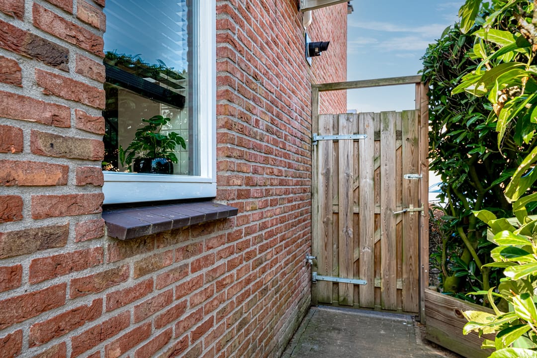 Foto 32 van de Plataan 82