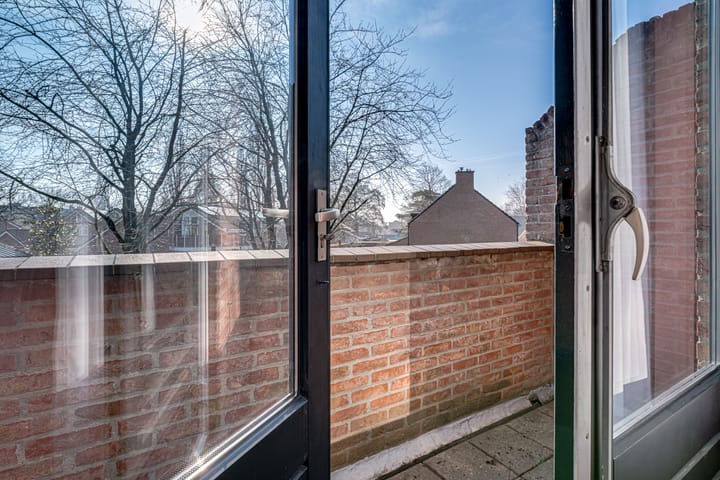 Foto 45 van de Plataan 82