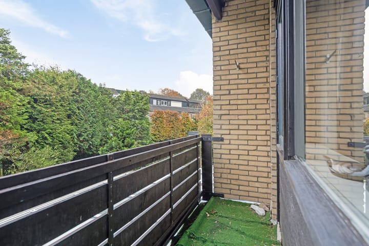 Foto 20 van Rietmeent 21